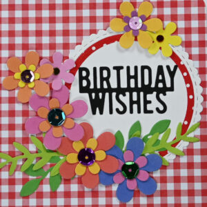 Red Small Gingham Birthday Wishes Card and Gift Tag