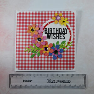 Red Small Gingham Birthday Wishes Card and Gift Tag