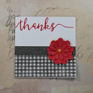 Thank You Cards – Red Daisies