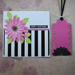 Pink Daisy Striped Happy Birthday Card and Gift Tag