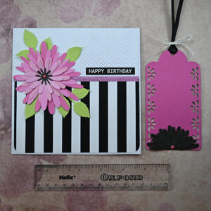 Pink Daisy Striped Happy Birthday Card and Gift Tag