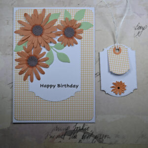 Orange Daisy and Gingham Happy Birthday Card and Tag