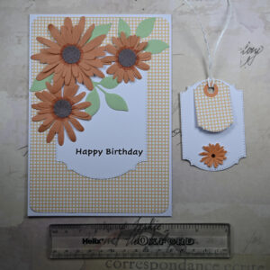 Orange Daisy and Gingham Happy Birthday Card and Tag