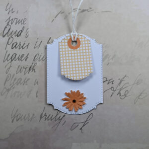 Orange Daisy and Gingham Happy Birthday Card and Tag